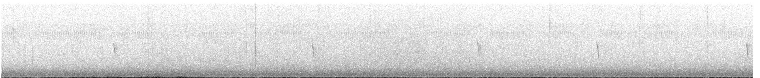 Светлобрюхий фиби - ML42325861