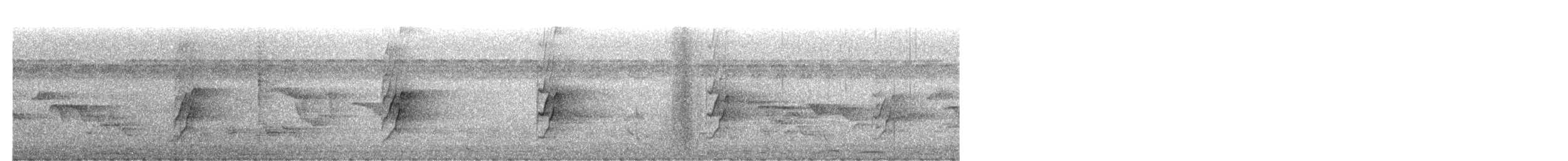 Plum-headed Parakeet - ML423305461