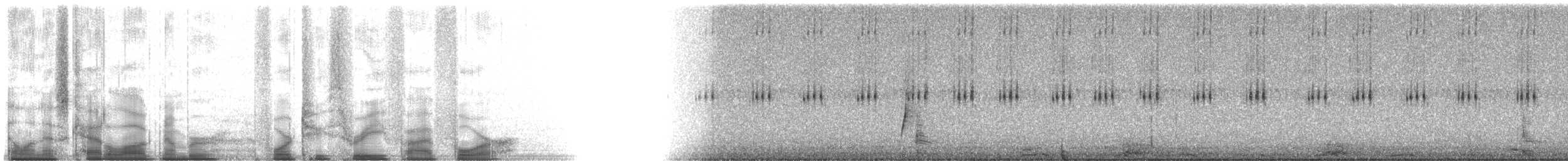 Mosquero Saucero - ML42354