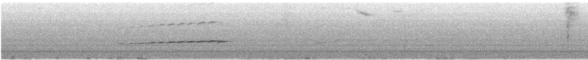 Глазчатая гологлазка - ML423547971
