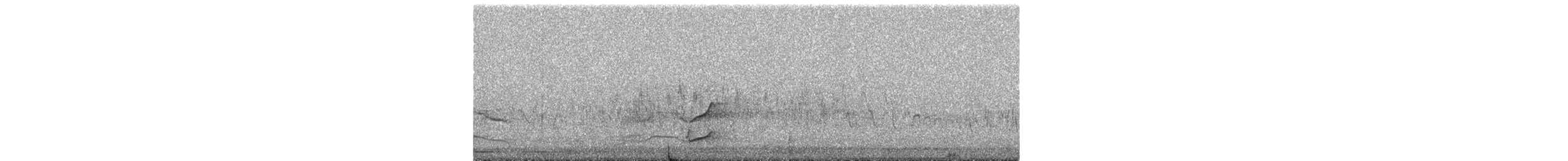 斑胸秧雞 - ML423592471