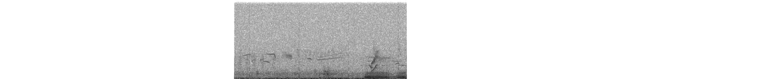 斑胸秧雞 - ML423592501