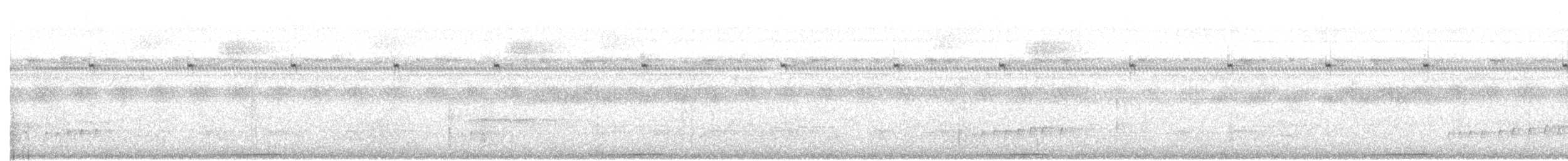 holub zelenokřídlý - ML42359361