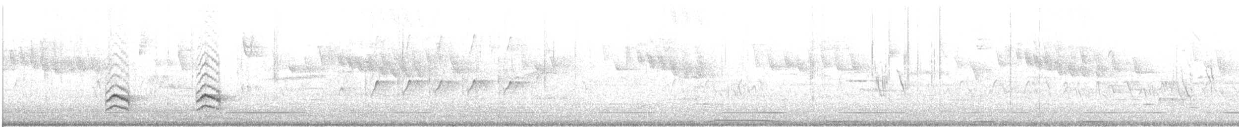 Weißbrustkleiber (aculeata/alexandrae) - ML423623581