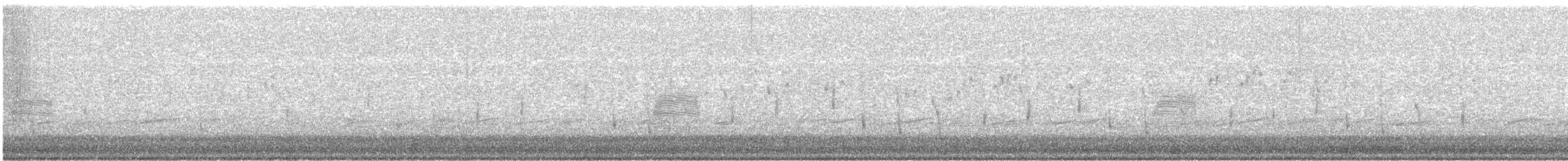 Bécasse d'Amérique - ML423725271