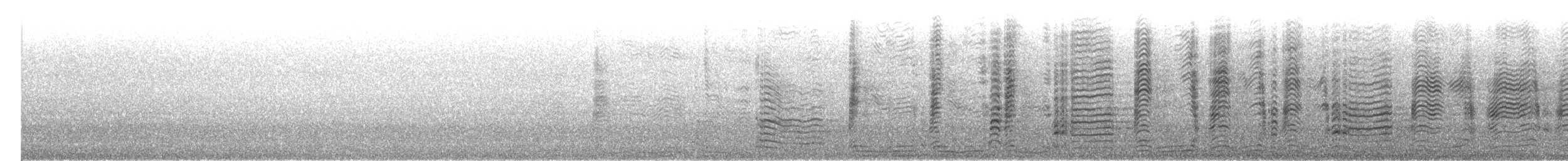 Буревісник cередземноморський (підвид borealis) - ML423799821