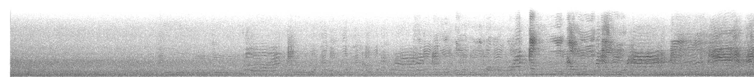 Cory's Shearwater (borealis) - ML423799851