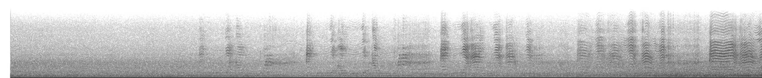 Буревісник cередземноморський (підвид borealis) - ML423799861