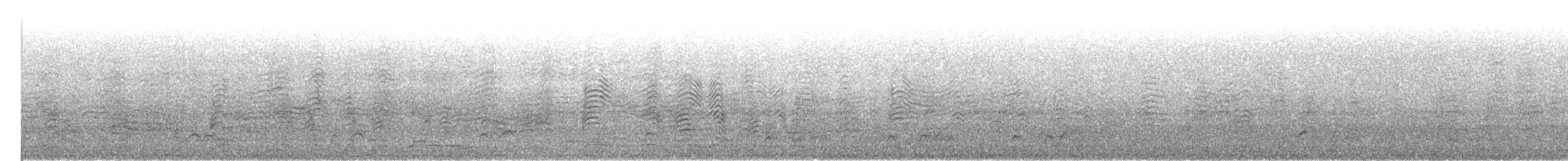 Канарский буревестник - ML423800001