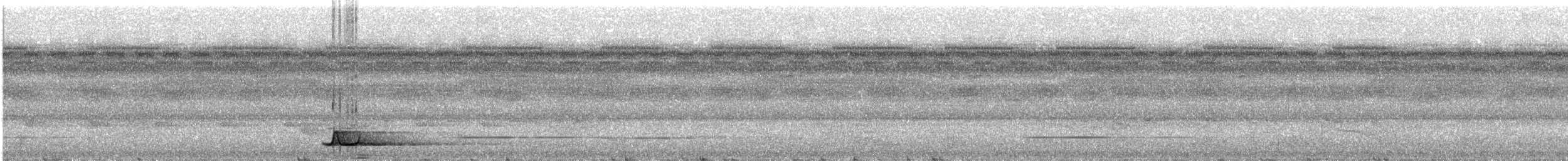 Tinamou à calotte noire - ML423889561
