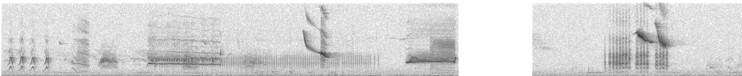 Acorn Woodpecker - ML42402361