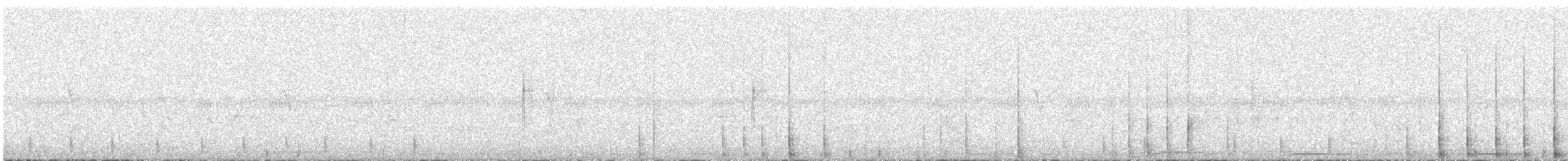 Acorn Woodpecker - ML42402391