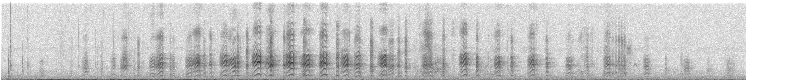 Acorn Woodpecker - ML42402861