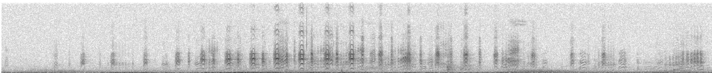 Acorn Woodpecker - ML42402871