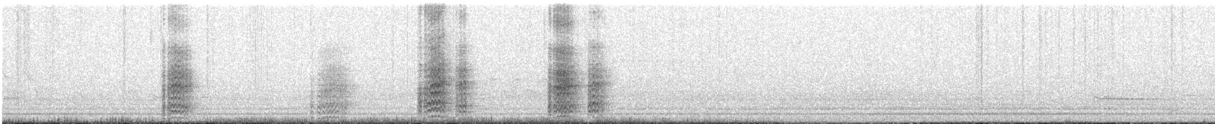 Acorn Woodpecker - ML42403021