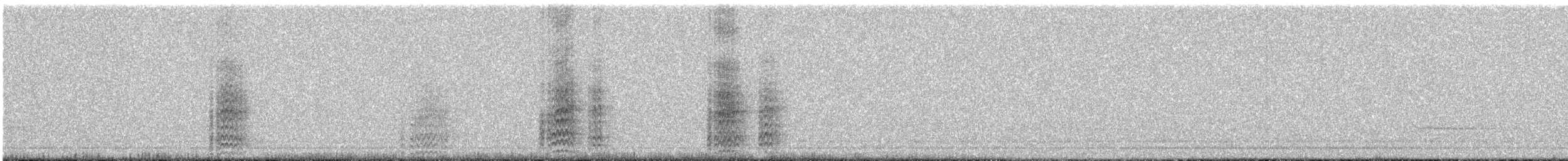 Acorn Woodpecker - ML42403161