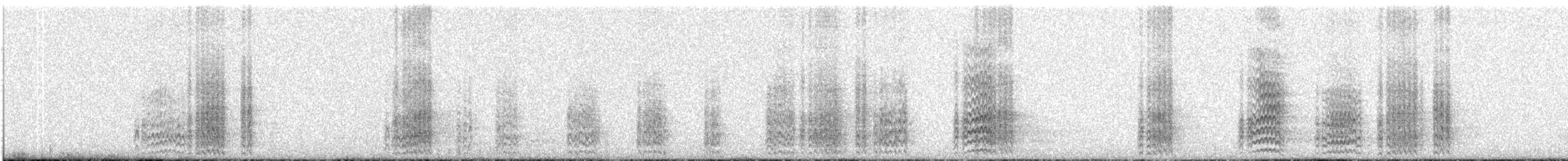 Acorn Woodpecker - ML42403241