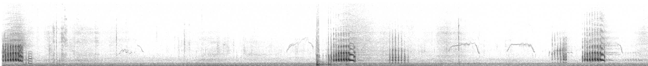 jeřáb kanadský (ssp. tabida/rowani) - ML42404971