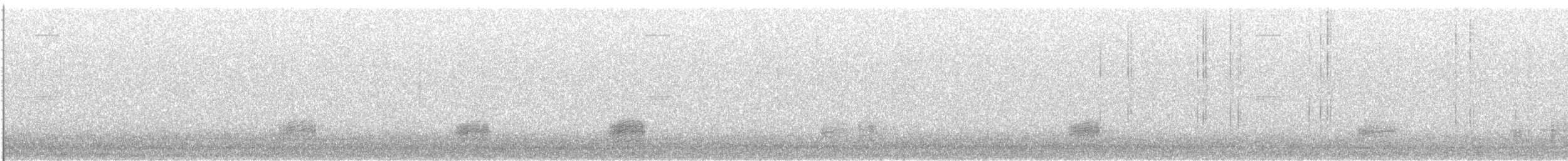 ברווז אפור (אירואסייתי) - ML424141471