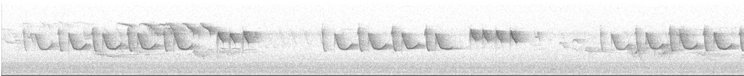 svartmeis (britannicus/hibernicus) - ML424149911