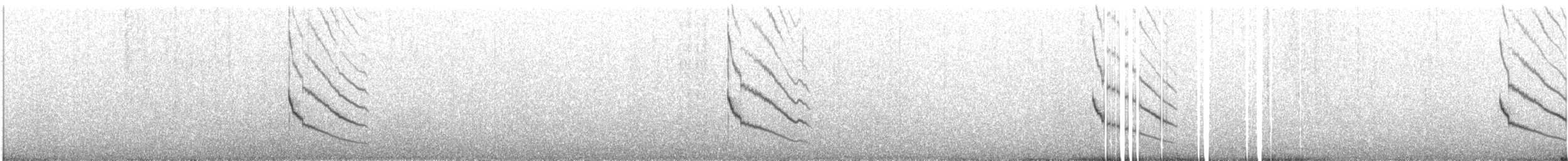 Long-tailed Cinclodes (Cipo) - ML424388571