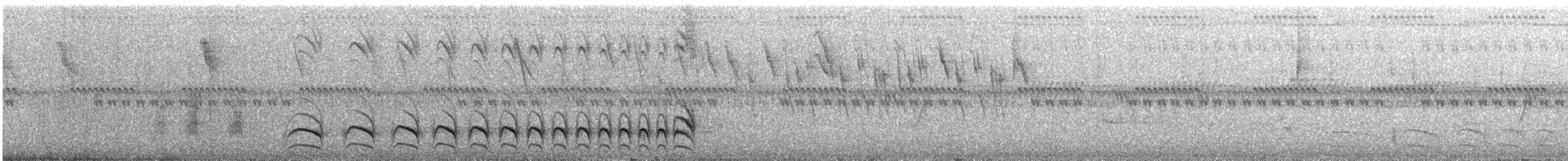 Rostflügel-Ameisenwürger - ML424389861