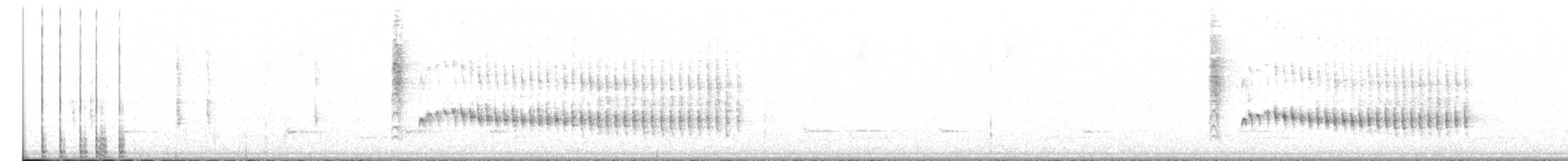 Uzun Gagalı Bitkuşu [rufiventris grubu] - ML424422451