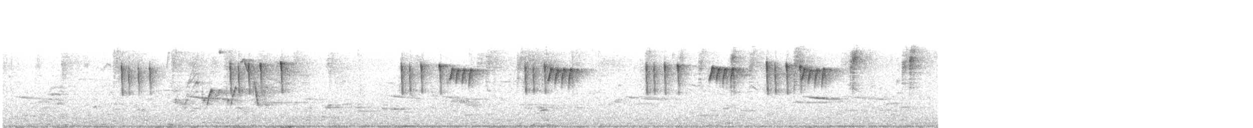 Todirostre familier - ML424715351