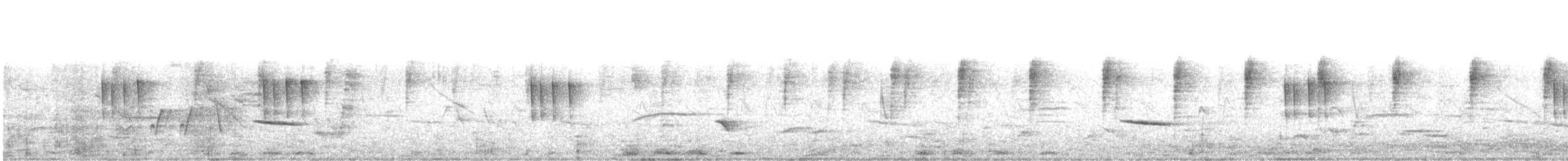 Todirostre familier - ML424715371