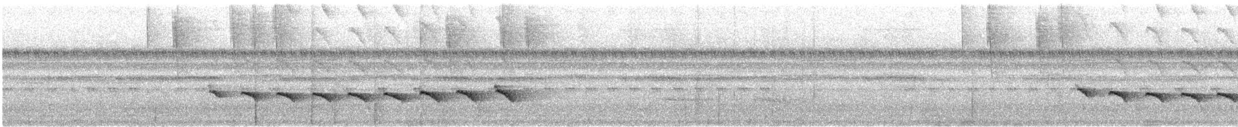 Kurzschwanz-Ameisenvogel - ML424752671