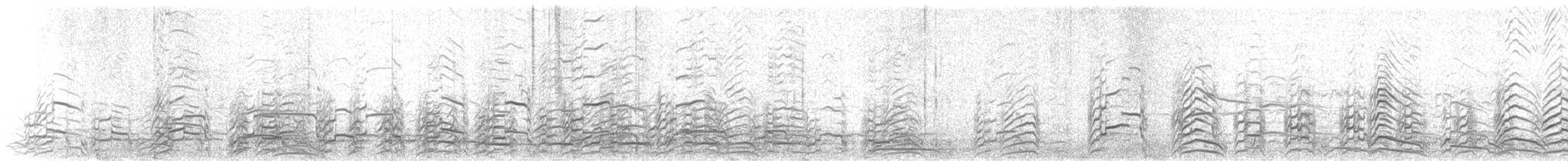 Ringschnabelmöwe - ML424770571