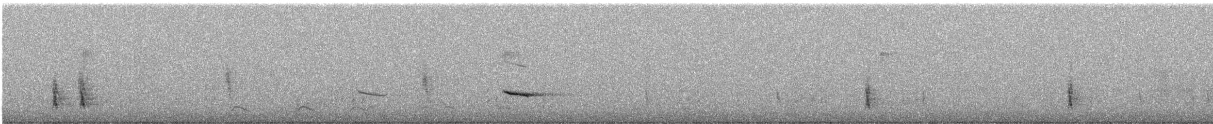 Дрозд-отшельник - ML42481961