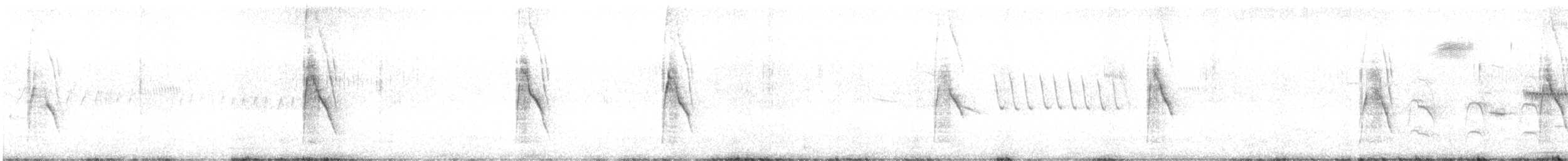 Weißbauch-Dickichtschlüpfer - ML424921801