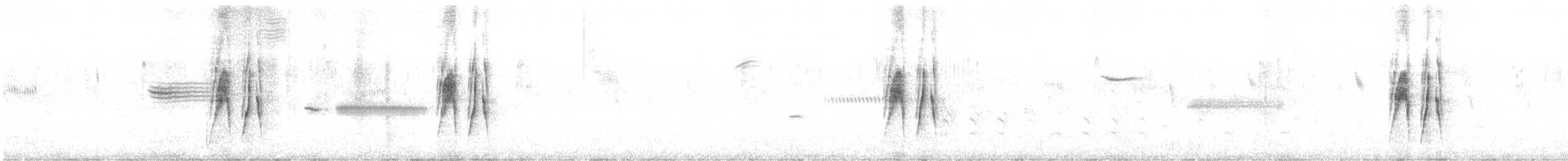 Weißbauch-Dickichtschlüpfer - ML424924321