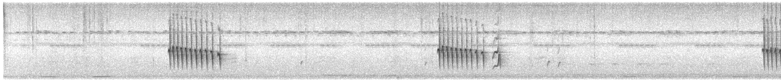 Narrow-billed Antwren - ML425206001