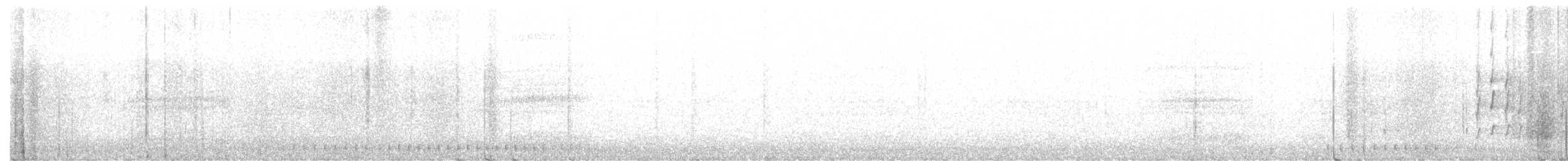 datlík černohřbetý - ML425230701