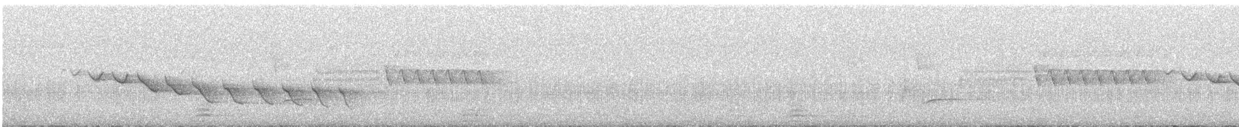 Canyon Wren - ML425231671