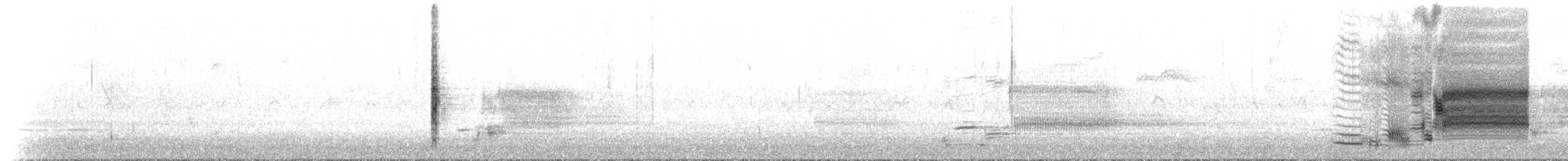Carouge à épaulettes (groupe phoeniceus) - ML425252571