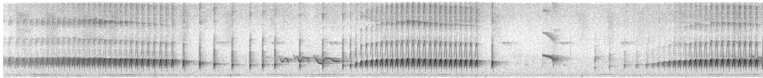 Mégasittine du Brésil - ML425279241