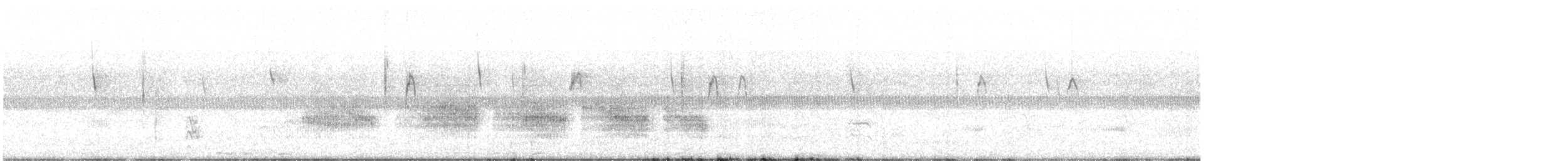 Black Rail - ML425302961