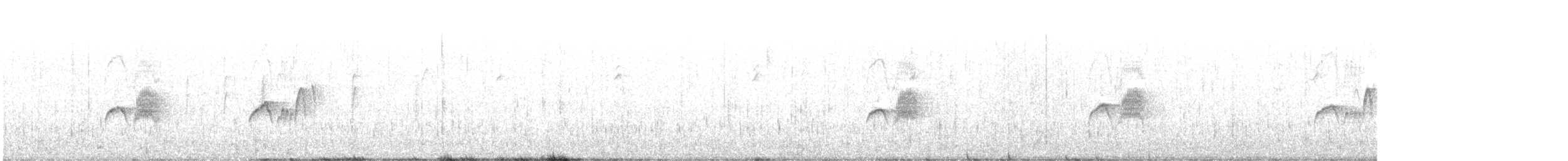 Weißbauch-Phoebetyrann - ML425381341