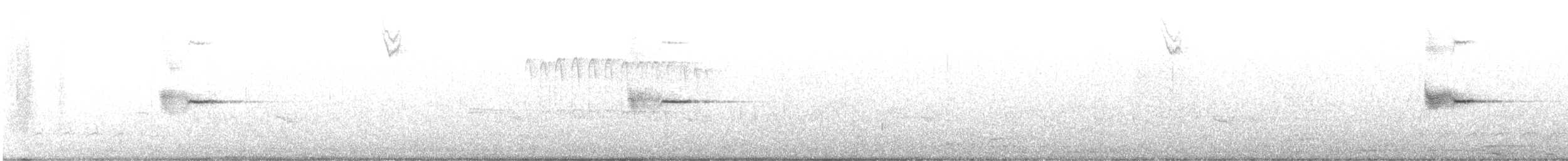 blackbird sp. - ML425402681