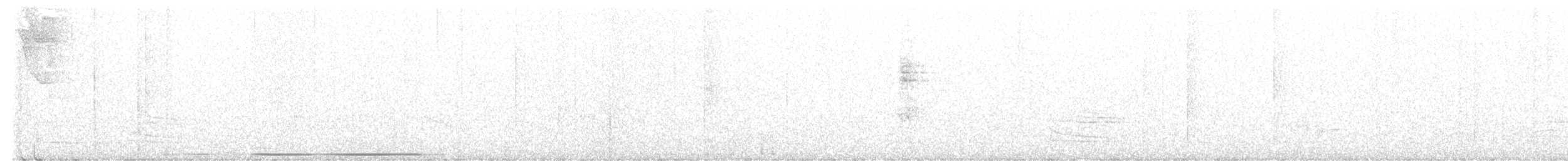 Белолобая голубка [группа verreauxi] - ML425534731