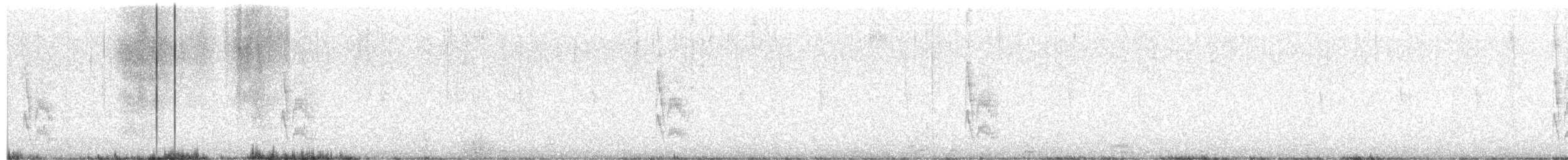 beltetyrann - ML42554741