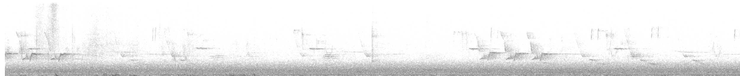 Поплітник каролінський - ML425567151