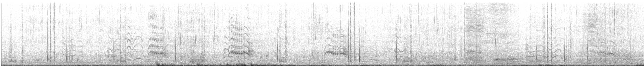 Sterne royale - ML425630061