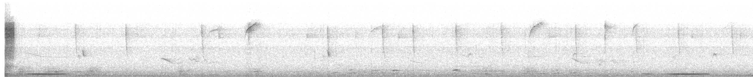 holub bledočelý [skupina verreauxi] - ML425635931