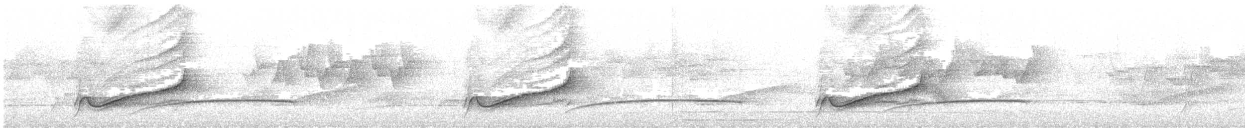 blåvingelattertrost - ML425657921
