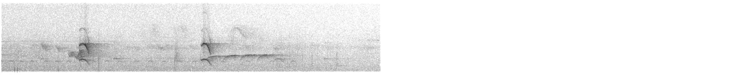 Weißflanken-Ameisenschlüpfer (luctuosa) - ML425738221