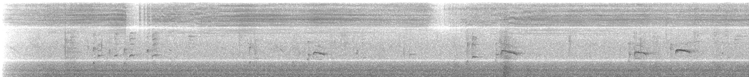 斑文鳥 - ML42573971